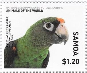 Stamp, Lesser Jardine's Parrot, Samoa,  , Animals (Fauna), Birds, Parrots