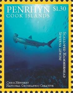 Stamp, Scalloped Hammerhead (Sphyrna Lewini), Penrhyn,  