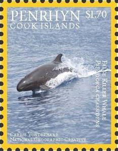 Stamp, False Killer Whale (Pseudorca crassidens), Penrhyn,  