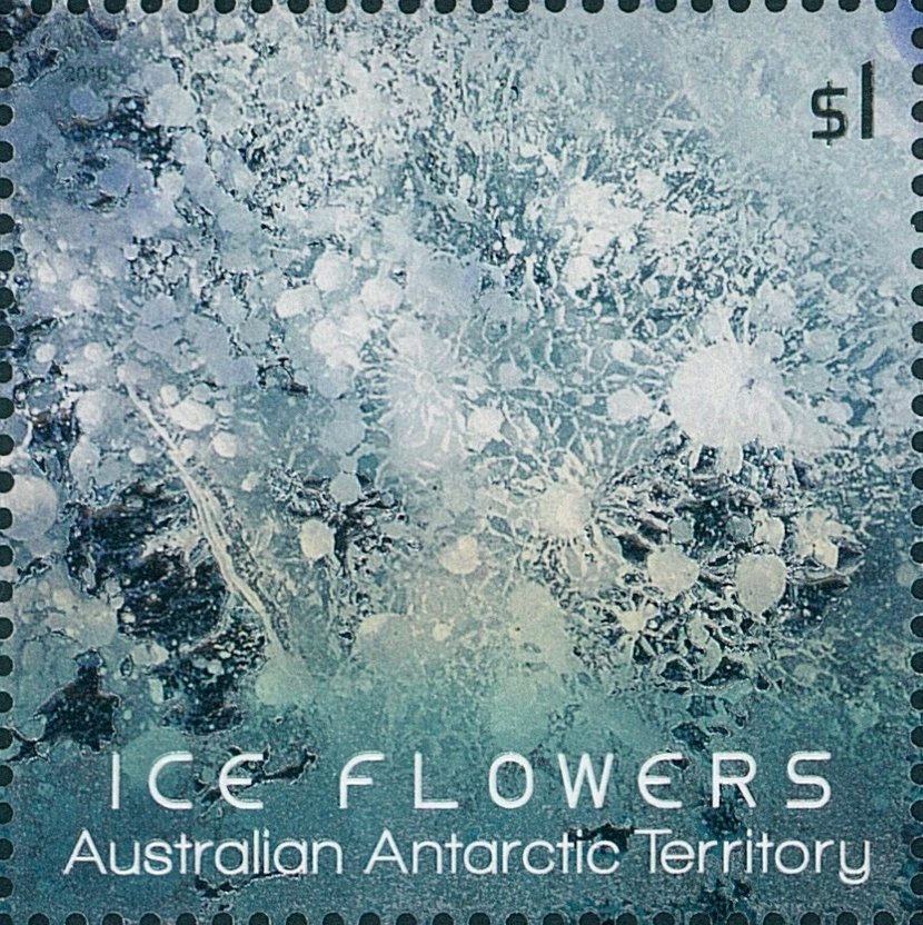 Light-blue Ice Flower with translucent pearl foil