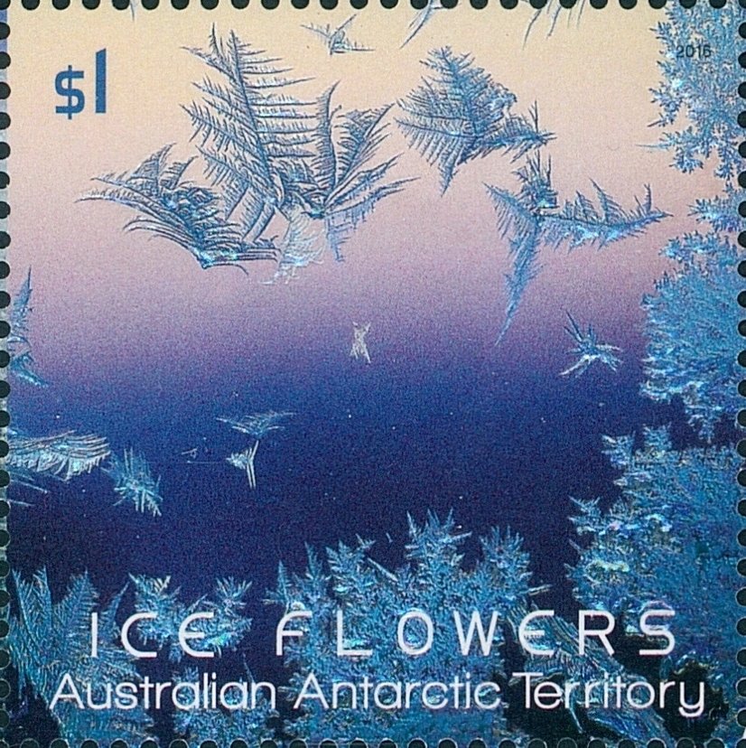 Purple-blue Ice Flower with clear holographic foil