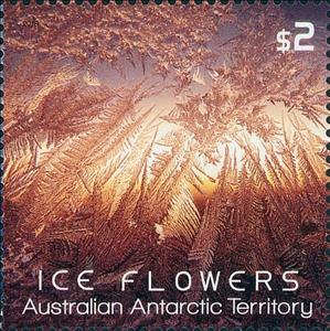 Stamp, Orange Ice Flower with clear foil, Australian Antarctic Territory (AAT),  , Ice