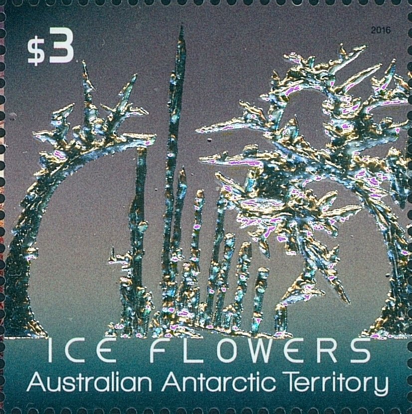 Grey-green Ice Flower with metallic silver-gold foil