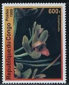 Stamp, Eulophia alta, Congo, Republic (Brazzaville),  , Orchids
