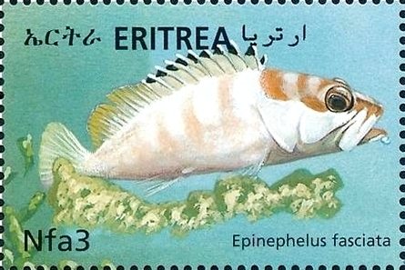 Stamp, Epinephelus fasciatus, Eritrea,  , Fishes, Sea Life