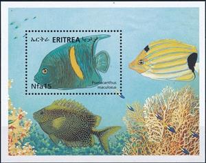 Souvenir Sheet, Pomacanthus maculosus, Eritrea,  , Animals (Fauna), Corals and Sponges, Fishes, Sea Life
