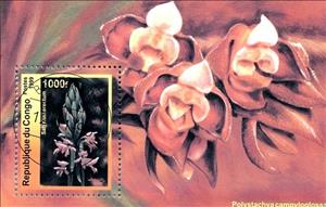 Souvenir Sheet, Satyrium erectum, Congo, Republic (Brazzaville),  , Orchids