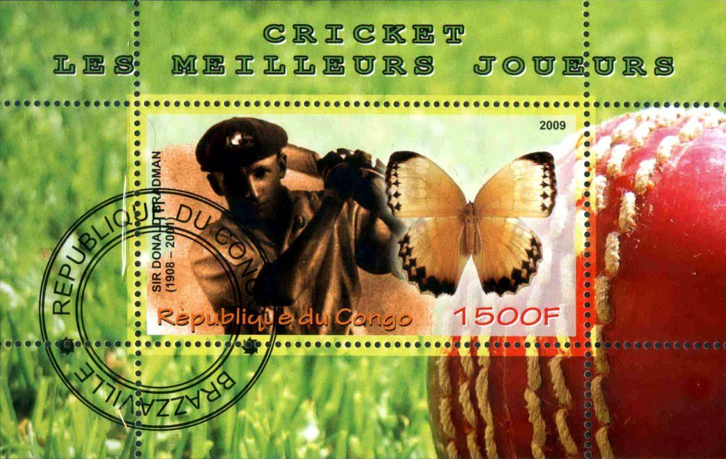 Cricket Les Meilleurs Joeurs
