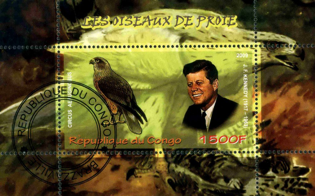 Les Oiseaux de Proie