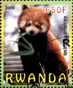 Stamp, Red Panda, Cinderellas,  