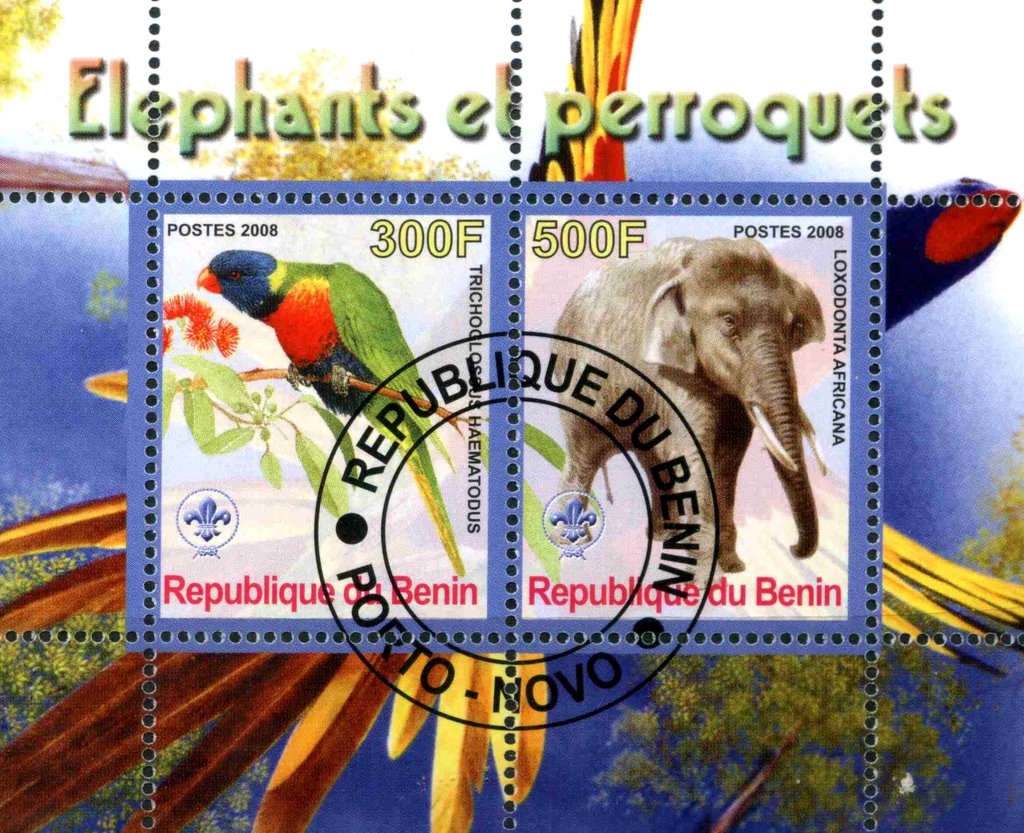 Elephants et perroquets