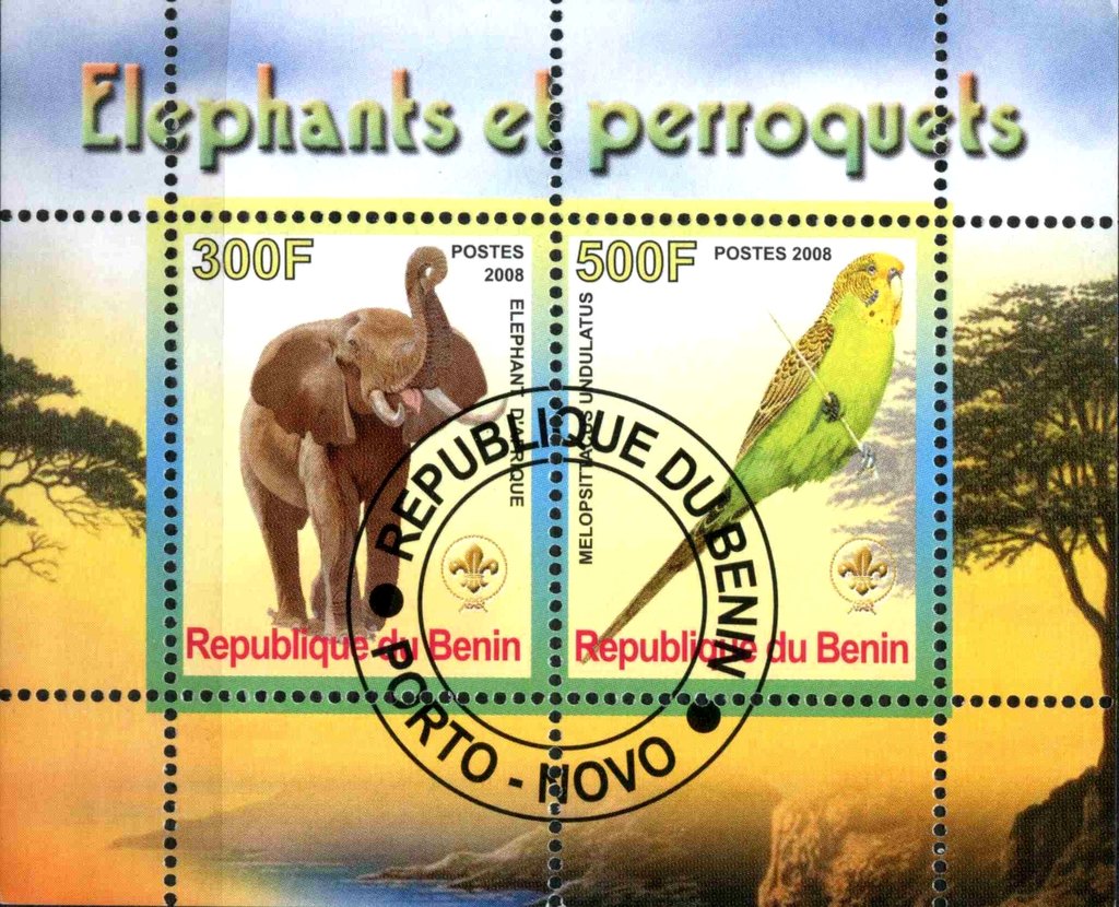 Elephants et perroquets
