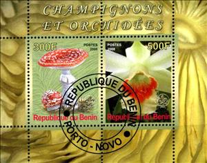 Mini Sheet, Mushroom and orchid, Cinderellas,  , Mushrooms, Orchids