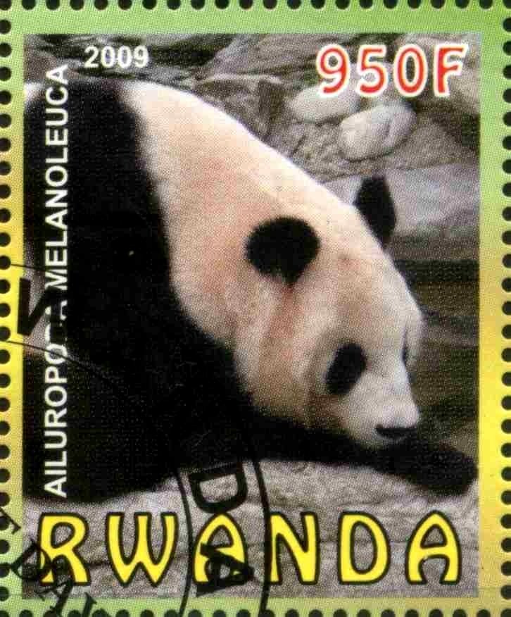 Geant Panda