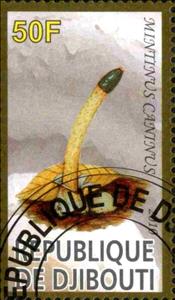 Stamp, Mintinus Caninus, Cinderellas,  , Mushrooms