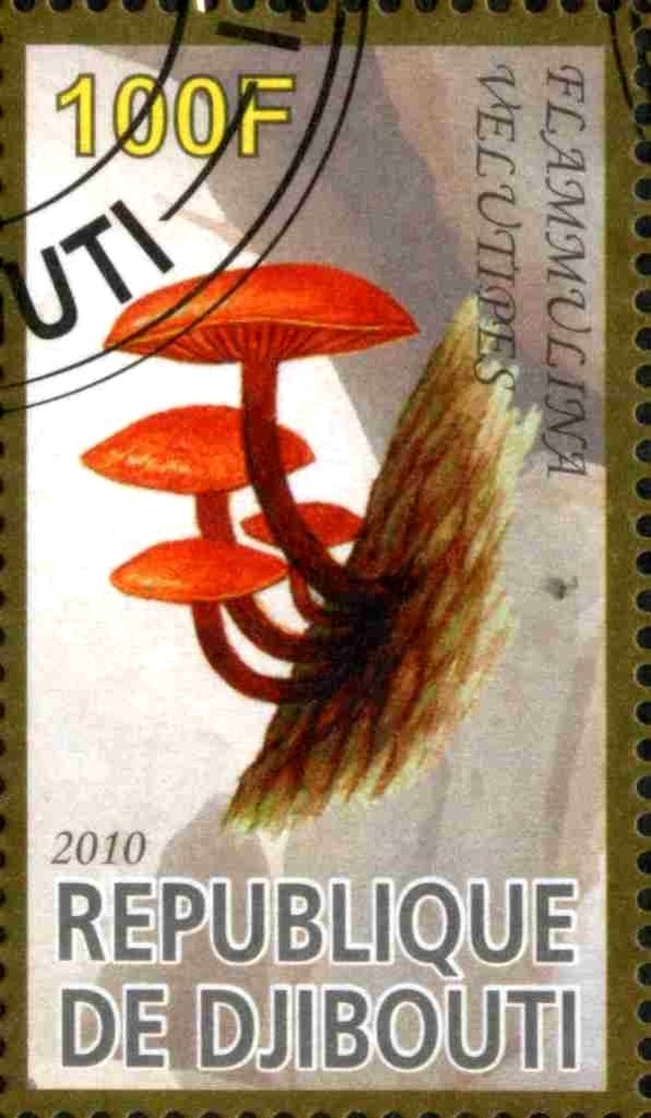 Flammulina Velupites