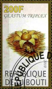 Stamp, Geastum Triplex, Cinderellas,  , Mushrooms