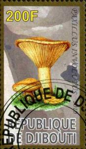 Stamp, Paxillus Involutus, Cinderellas,  , Mushrooms