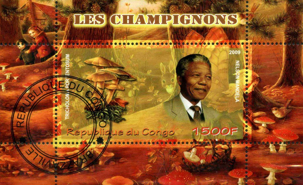 Les Champignons