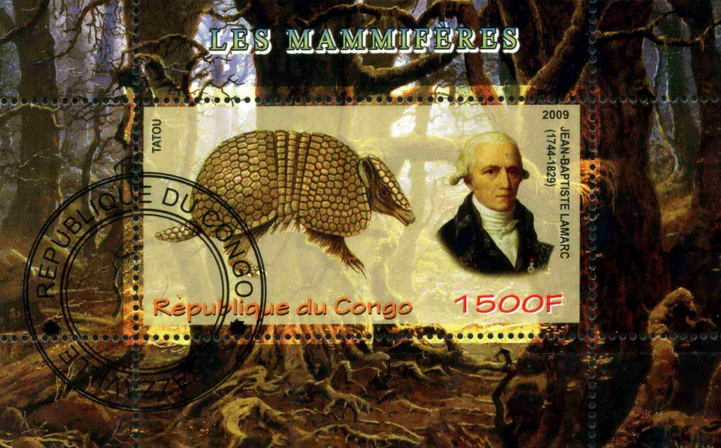 Les Mammiferes