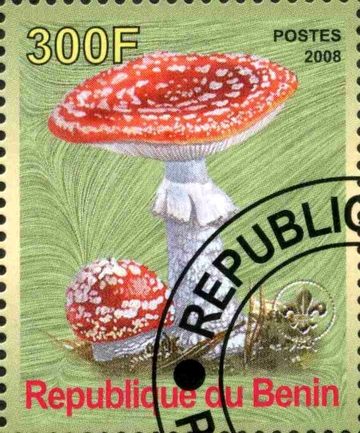 Mushrooms