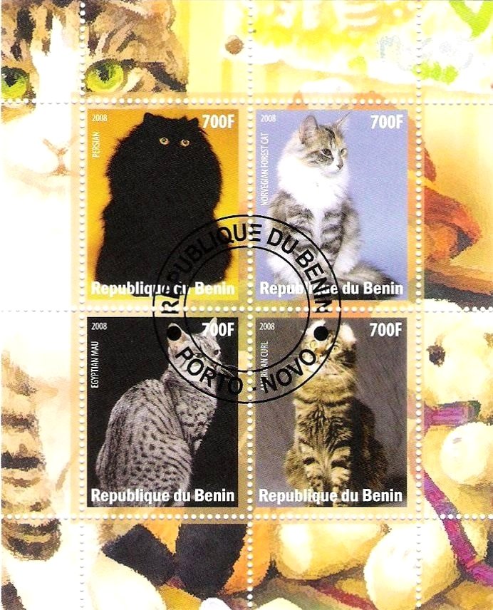Cats