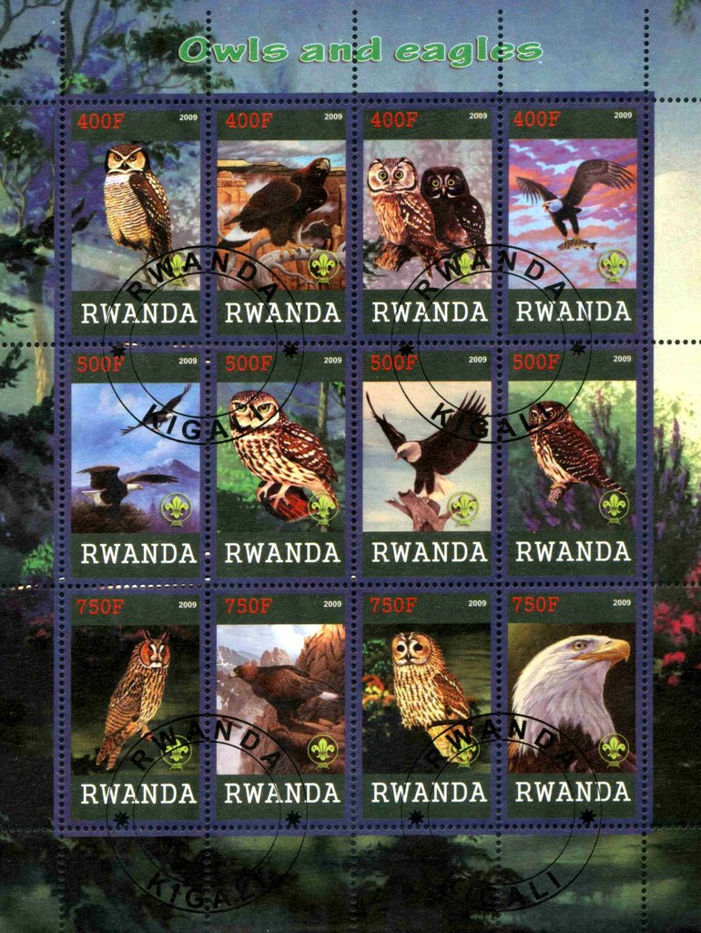 Owls and eagles