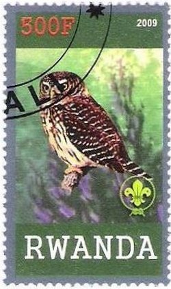 Birds of prey