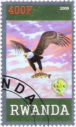 Birds of prey
