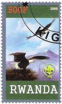 Birds of prey