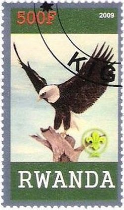 Birds of prey