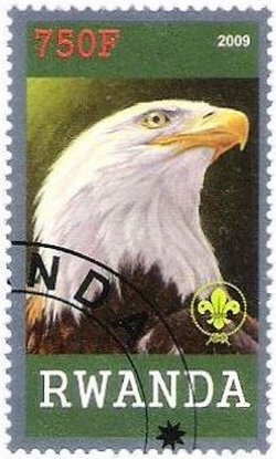 Birds of prey