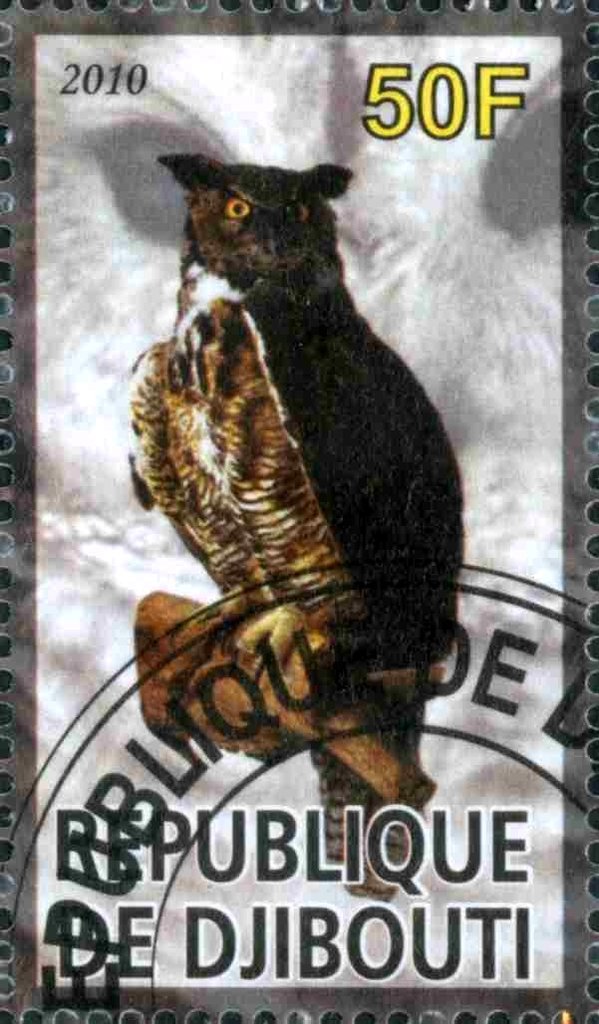 Owl