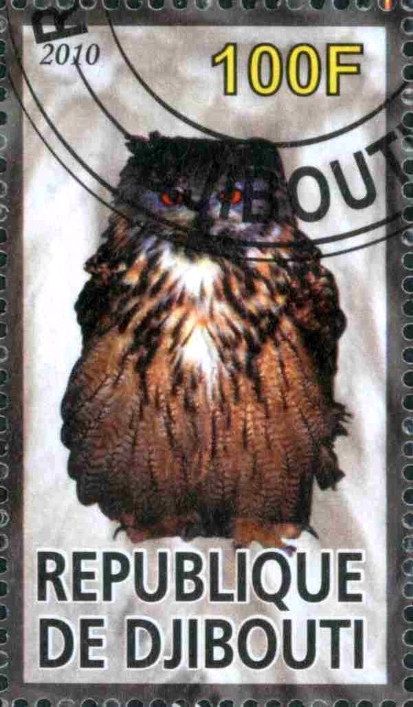 Owl