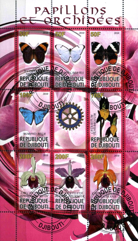 Papillons et orchidees