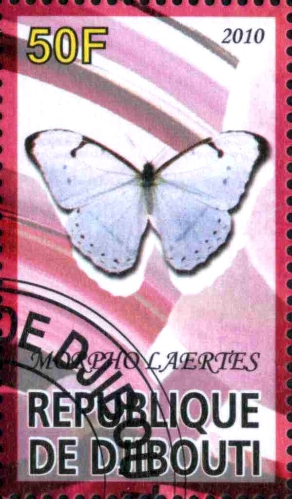 Morpho Laeries