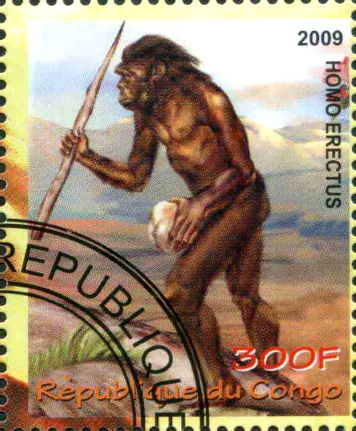 Homo Erectus