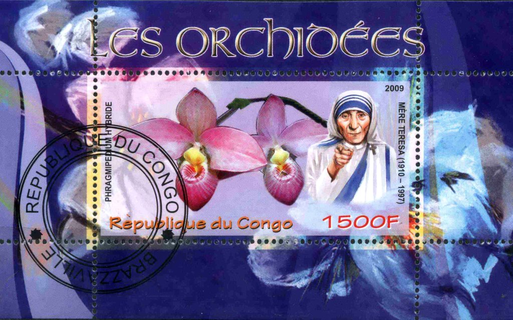 Les Orchidees