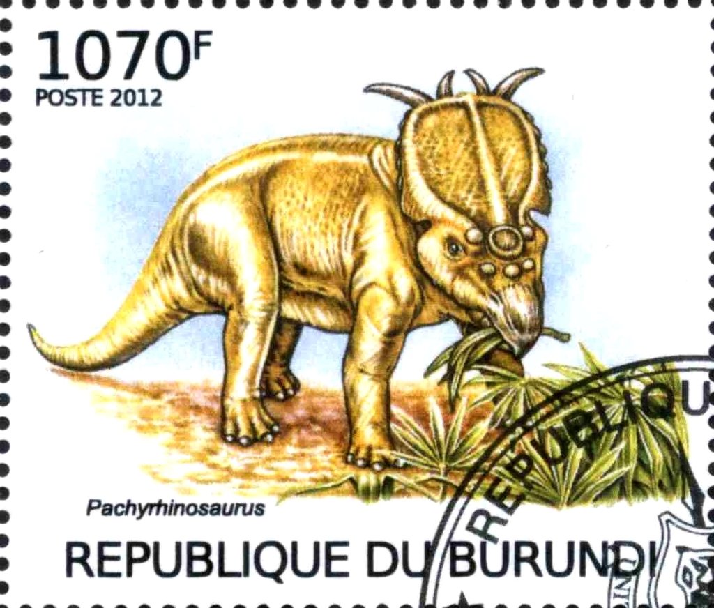 Pachyrhinosaurus