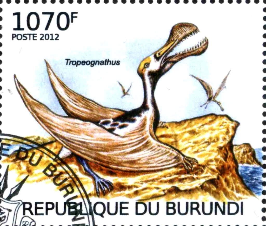 Tropeognathus