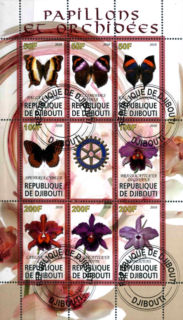 Papillons et orchidees