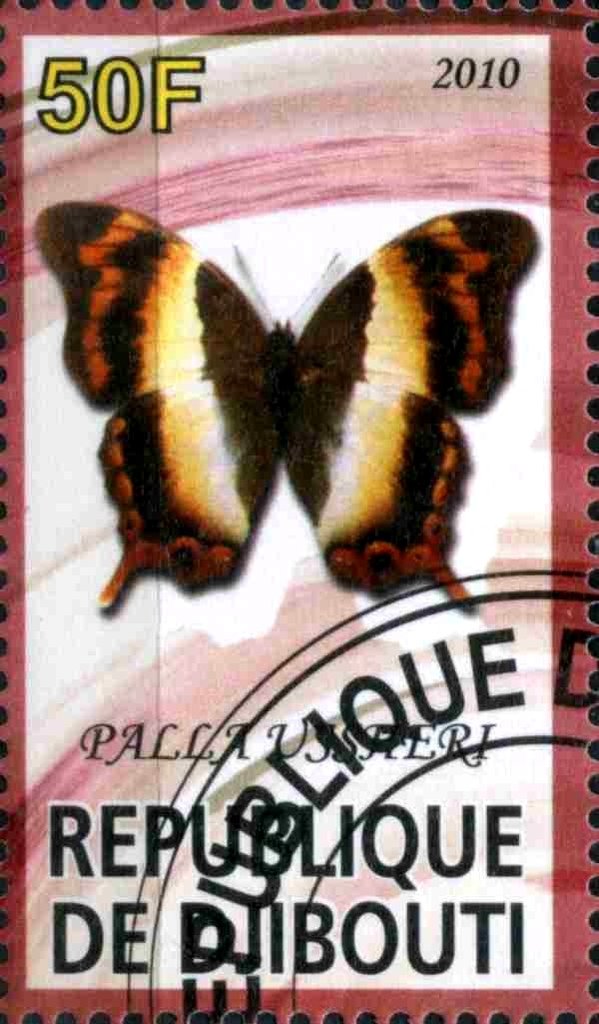Palla Ussheri