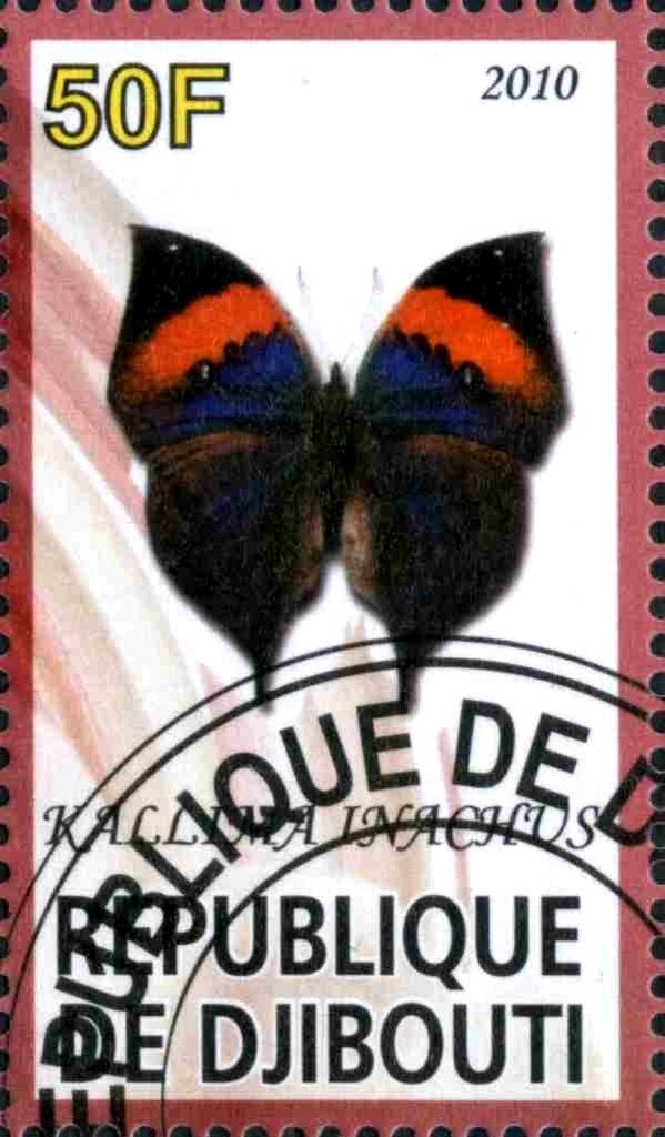 Kallima Inachus