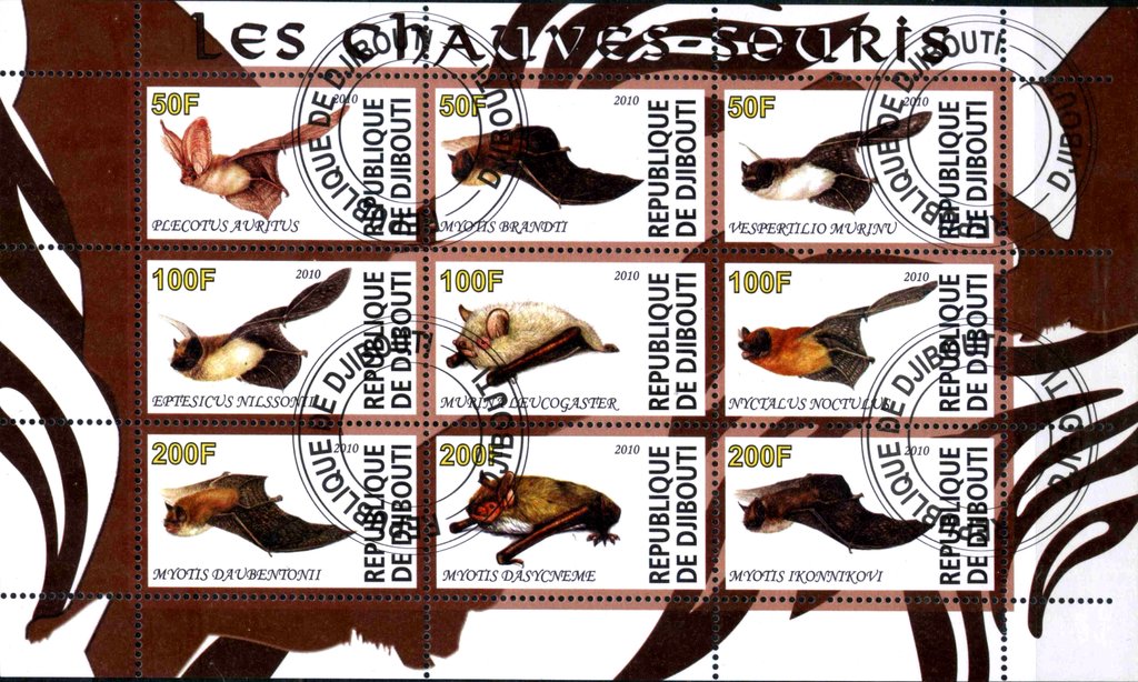 Bats