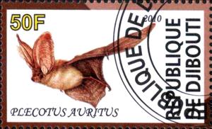 Stamp, Plecotus Auritus, Cinderellas,  , Bats