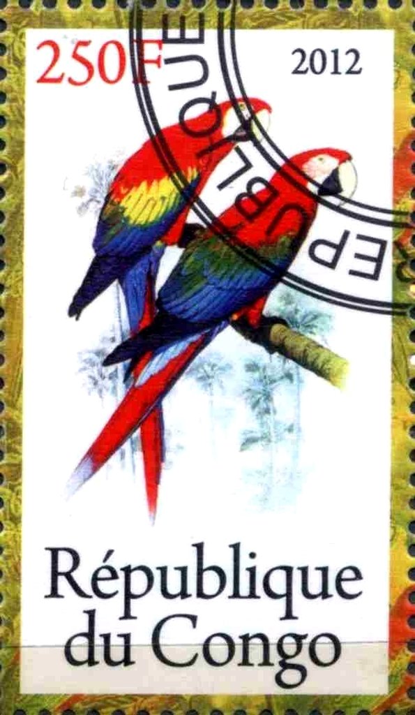 Parrots