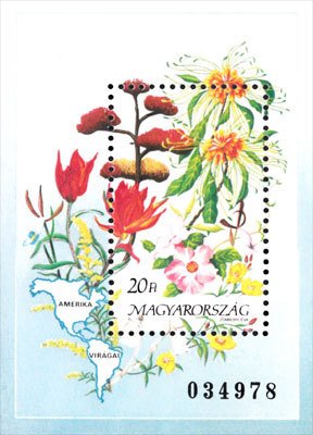 Flowers of the Americas