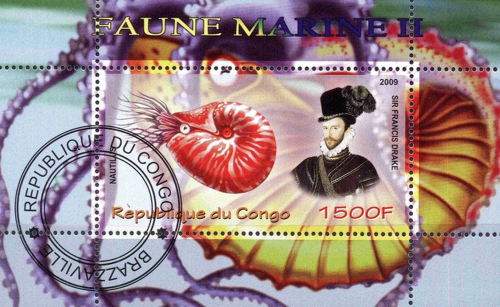 Faune marine II
