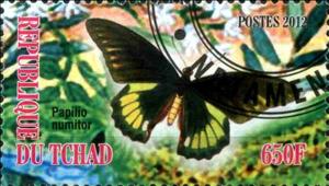 Stamp, Papilio numitor, Cinderellas,  , Butterflies