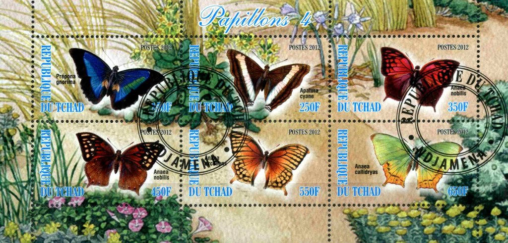 Papillons 4